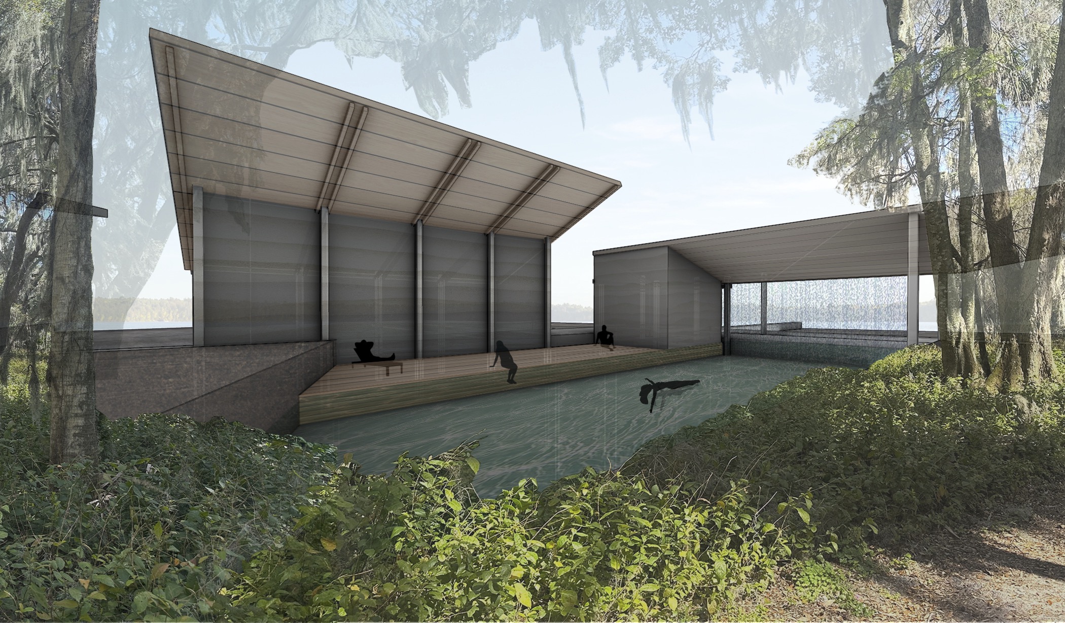 Nature Pool Perspective